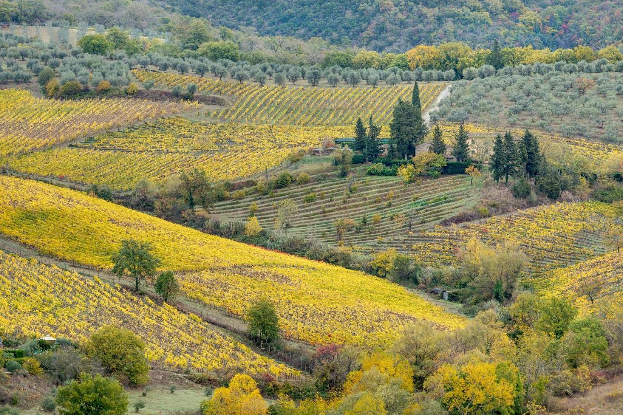 Terre Di Baccio Bed & Breakfast Greve in Chianti Exterior photo