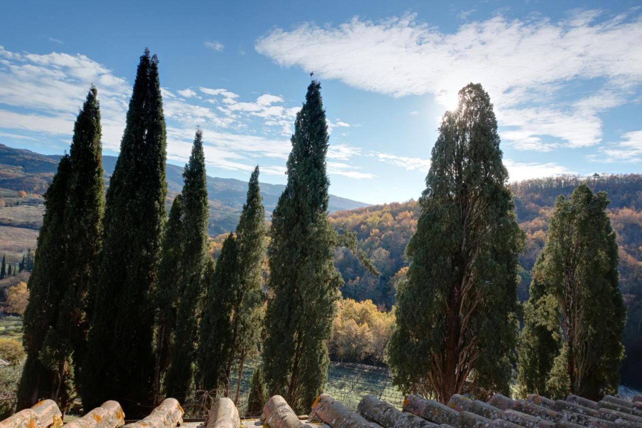 Terre Di Baccio Bed & Breakfast Greve in Chianti Exterior photo